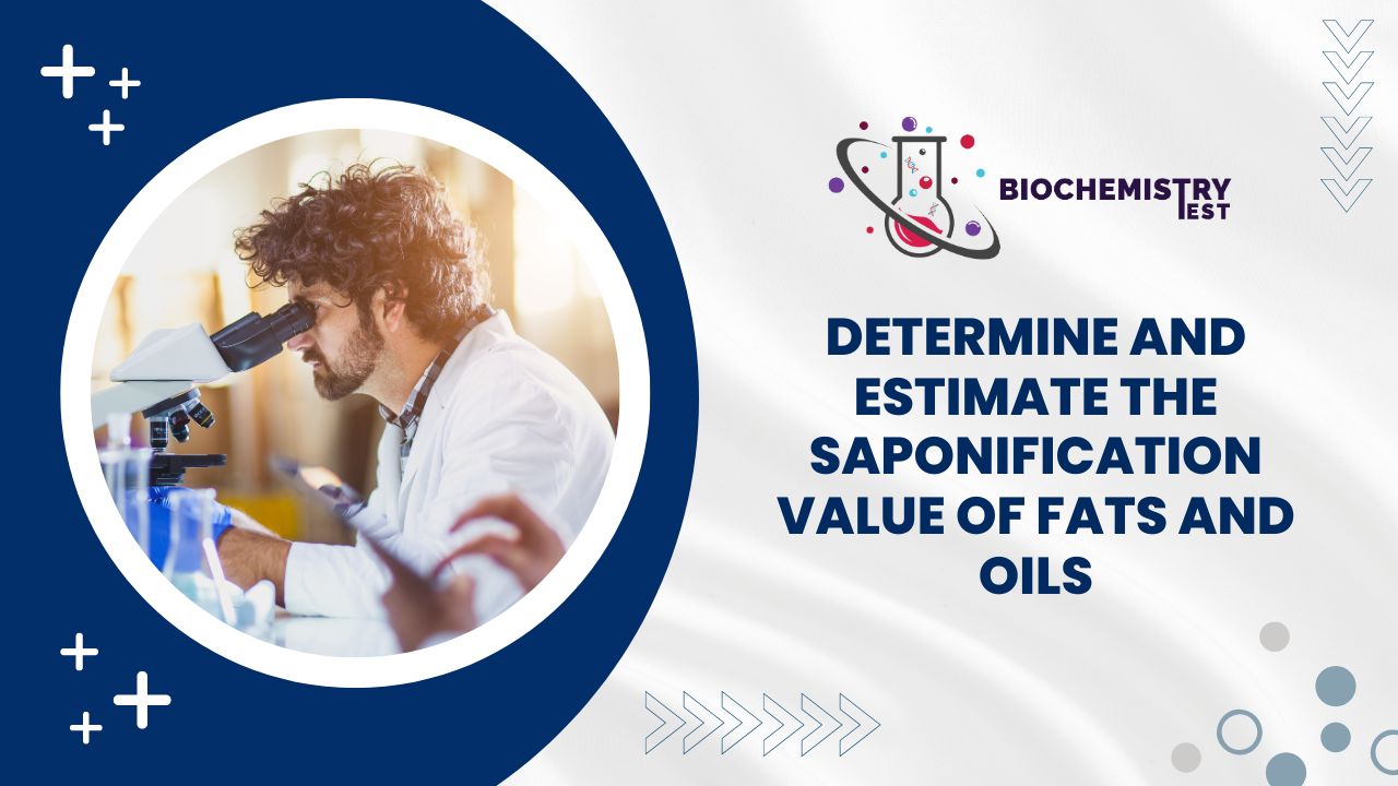 Determine and estimate the saponification value of fats and oils