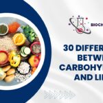  30 Differences Between Carbohydrates and Lipids