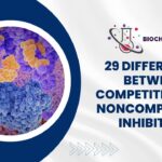 Competitive and Noncompetitive Inhibition