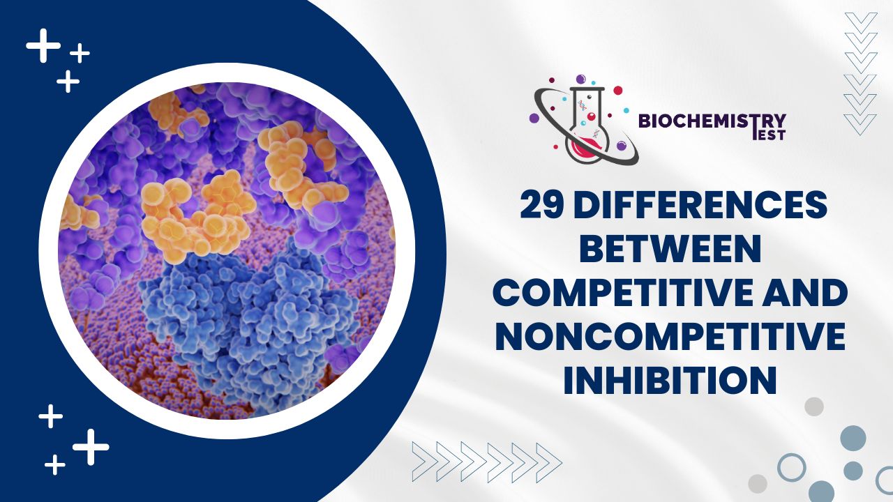 Competitive and Noncompetitive Inhibition