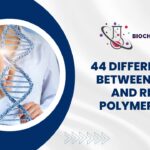 34 Difference Between Nucleotide and Nucleoside