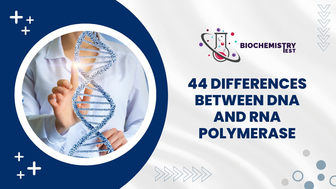 34 Difference Between Nucleotide and Nucleoside