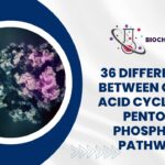 36 Diff Between Citric Acid Cycle and Pentose Phosphate Pathway