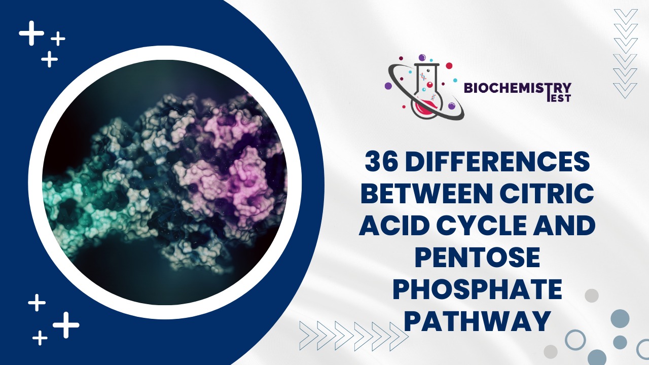 36 Diff Between Citric Acid Cycle and Pentose Phosphate Pathway