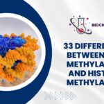 33 Differences Between DNA Methylation and Histone Methylation