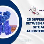 28 Differences Between Active site and allosteric Site