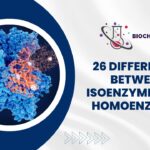 26 Differences Between Isoenzymes and Homoenzymes