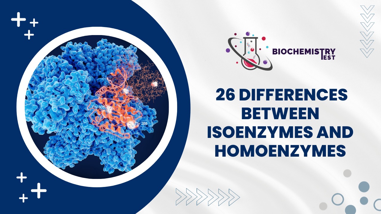 26 Differences Between Isoenzymes and Homoenzymes