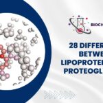 28 Difference Between Lipoproteins and Proteoglycans