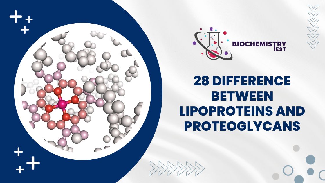 28 Difference Between Lipoproteins and Proteoglycans