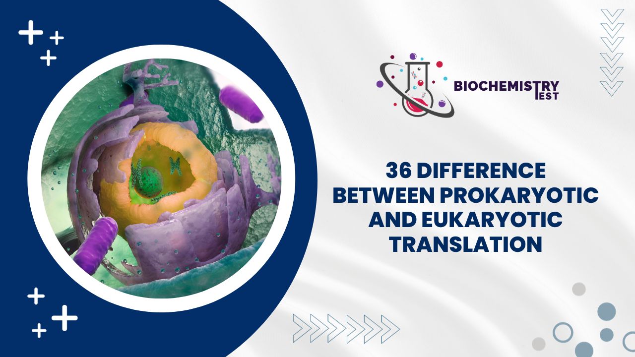 36 Difference Between Prokaryotic and Eukaryotic Translation