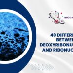 40 Difference Between Deoxyribonucleotide and Ribonucleotide