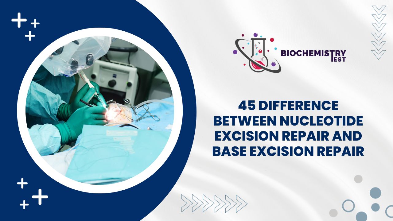 45 Difference Between Nucleotide Excision Repair and Base Excision Repair