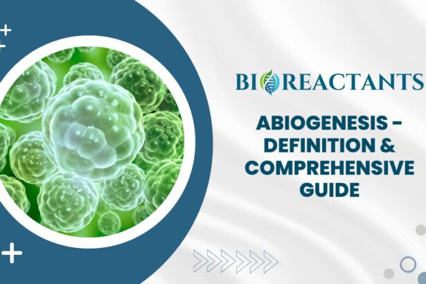 Abiogenesis - Definition & Comprehensive Guide