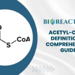 Acetyl-CoA - Definition & Comprehensive Guide