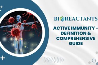 Active Immunity - Definition & Comprehensive Guide