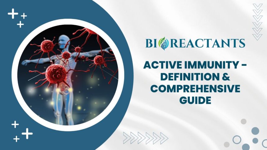 Active Immunity - Definition & Comprehensive Guide