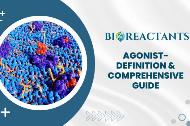 Agonist - Definition & Comprehensive Guide