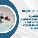 Alanine Aminotransferase - Definition & Comprehensive Guide