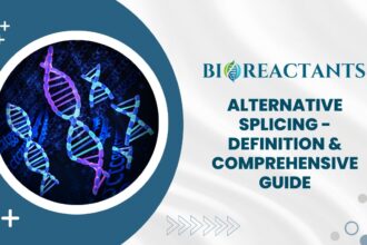 Alternative Splicing - Definition & Comprehensive Guide