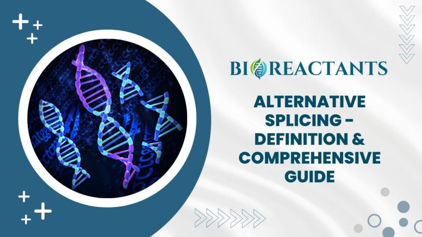 Alternative Splicing - Definition & Comprehensive Guide