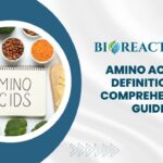 Amino Acids - Definition & Comprehensive Guide