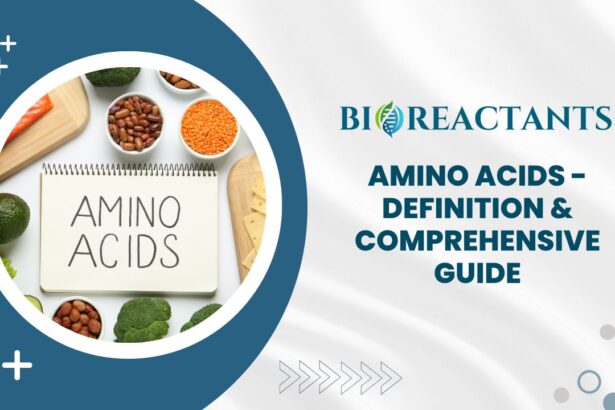 Amino Acids - Definition & Comprehensive Guide