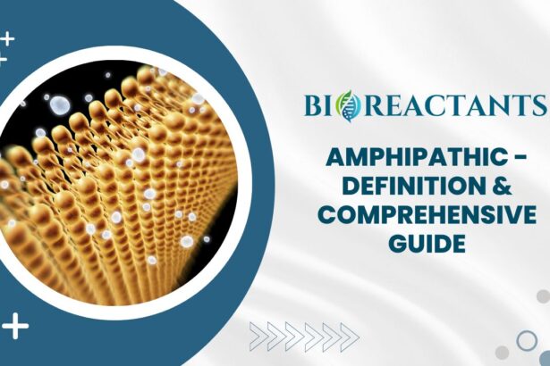 Amphipathic - Definition & Comprehensive Guide