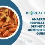 Anaerobic Respiration - Definition & Comprehensive Guide