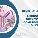 Antibody - Definition & Comprehensive Guide