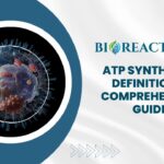 ATP synthase - Definition & Comprehensive Guide