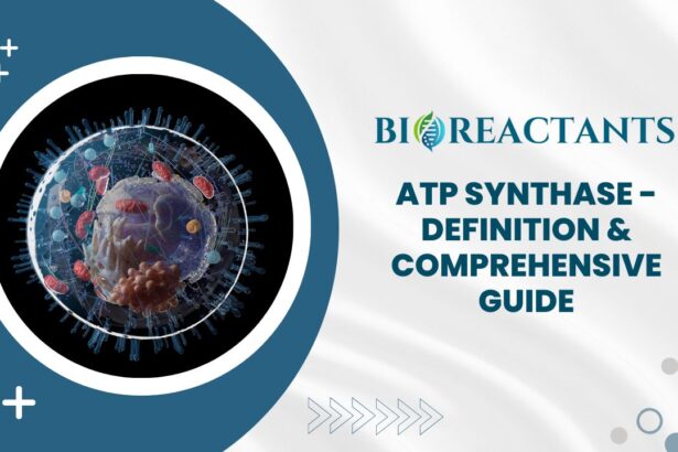 ATP synthase - Definition & Comprehensive Guide