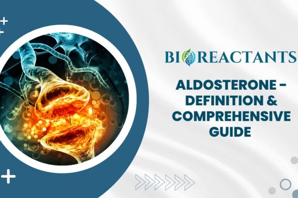 Aldosterone - Definition & Comprehensive Guide