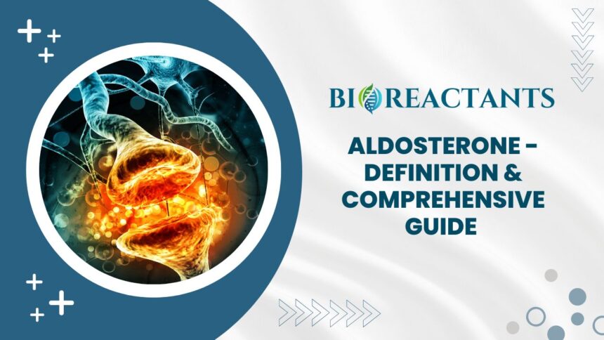 Aldosterone - Definition & Comprehensive Guide