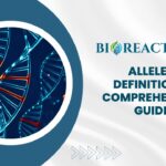 Allele - Definition & Comprehensive Guide