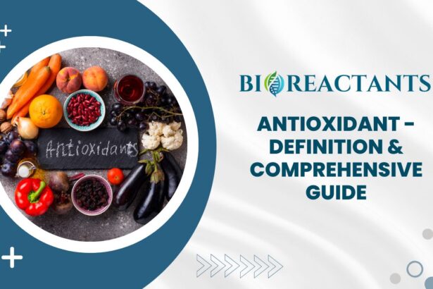 Antioxidant - Definition & Comprehensive Guide