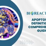 Apoptosis - Definition & Comprehensive Guide