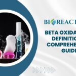 Beta Oxidation - Definition & Comprehensive Guide