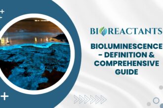 Bioluminescence - Definition & Comprehensive Guide