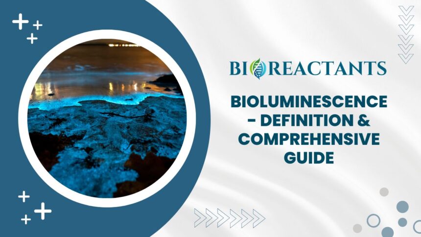 Bioluminescence - Definition & Comprehensive Guide