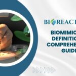 Biomimicry - Definition & Comprehensive Guide