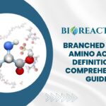 Branched Chain Amino Acids - Definition & Comprehensive Guide