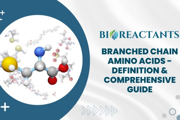 Branched Chain Amino Acids - Definition & Comprehensive Guide