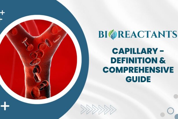 Capillary - Definition & Comprehensive Guide