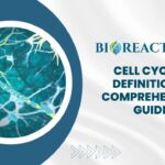 Cell Cycle - Definition & Comprehensive Guide