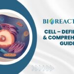 Cell - Definition & Comprehensive Guide