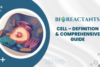 Cell - Definition & Comprehensive Guide