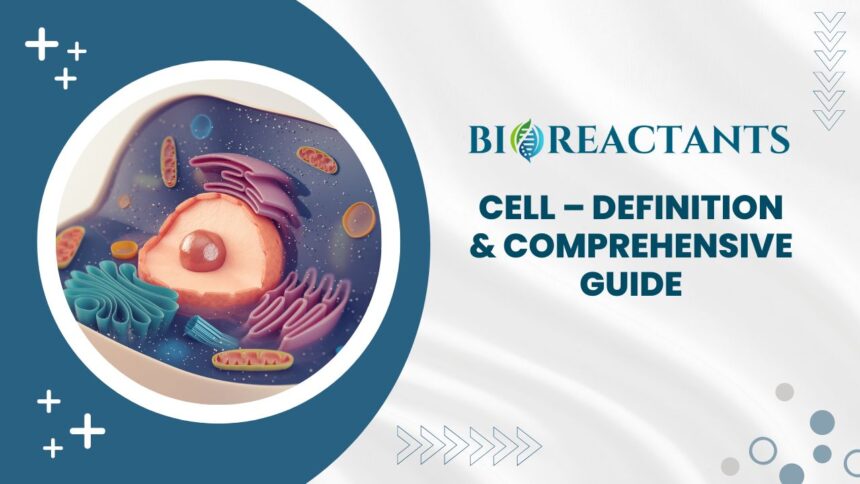 Cell - Definition & Comprehensive Guide