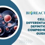 Cell Differentiation - Definition & Comprehensive Guide